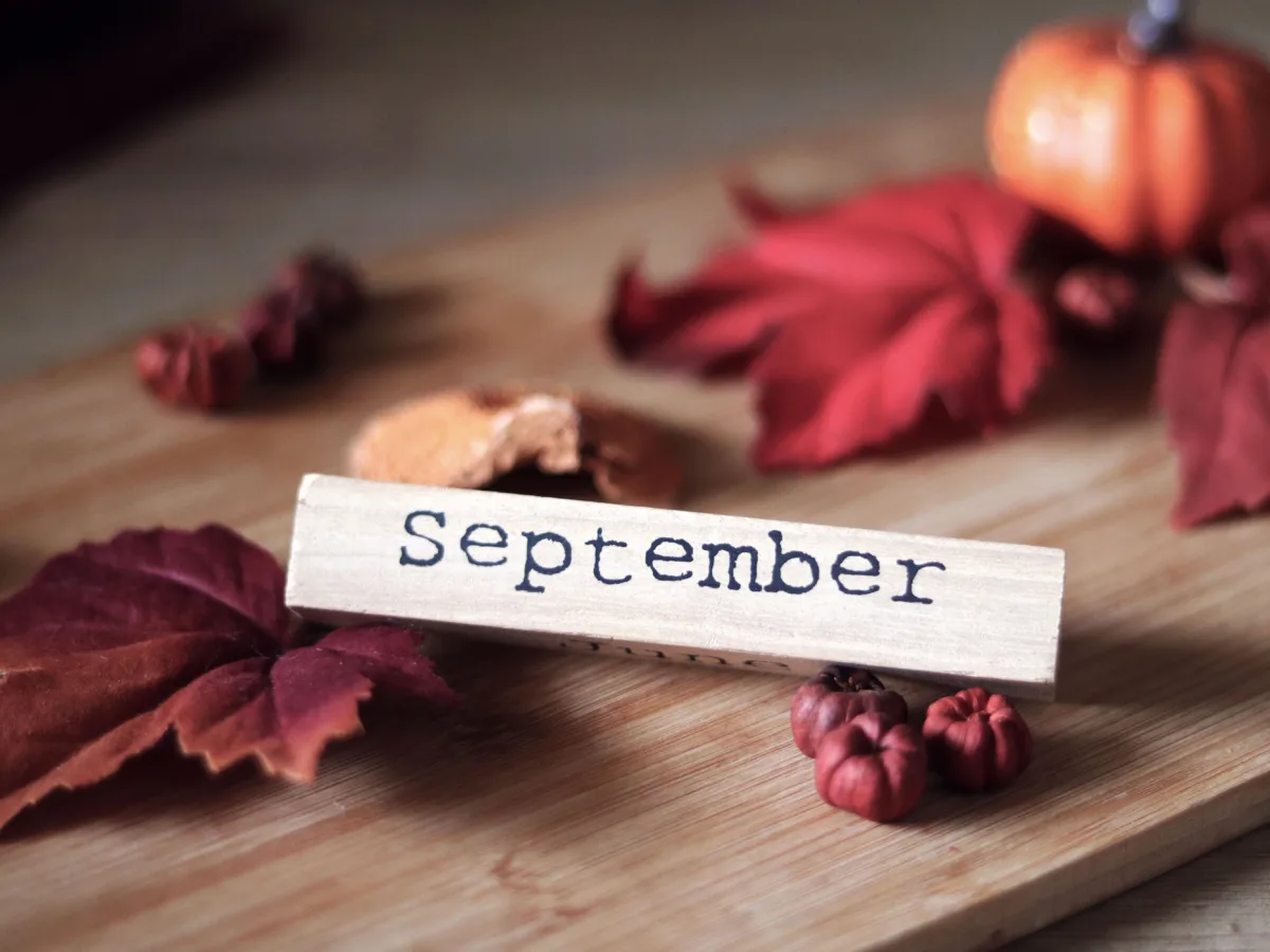 Beyond Memory Loss: Smarter Content Ideas for World Alzheimer’s Month
