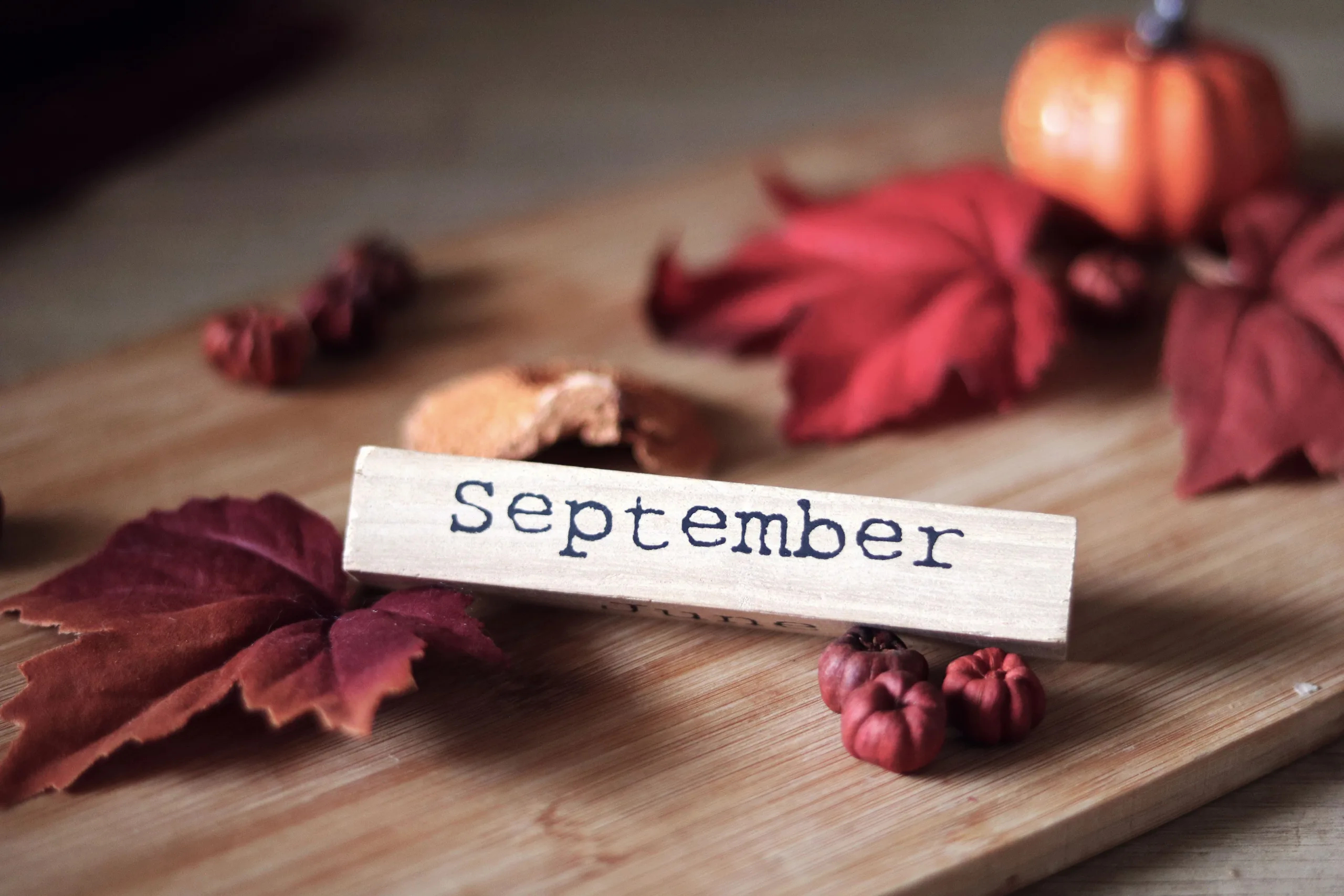 Wooden block reading ‘September’ surrounded by red maples leaves and mini pumpkins.