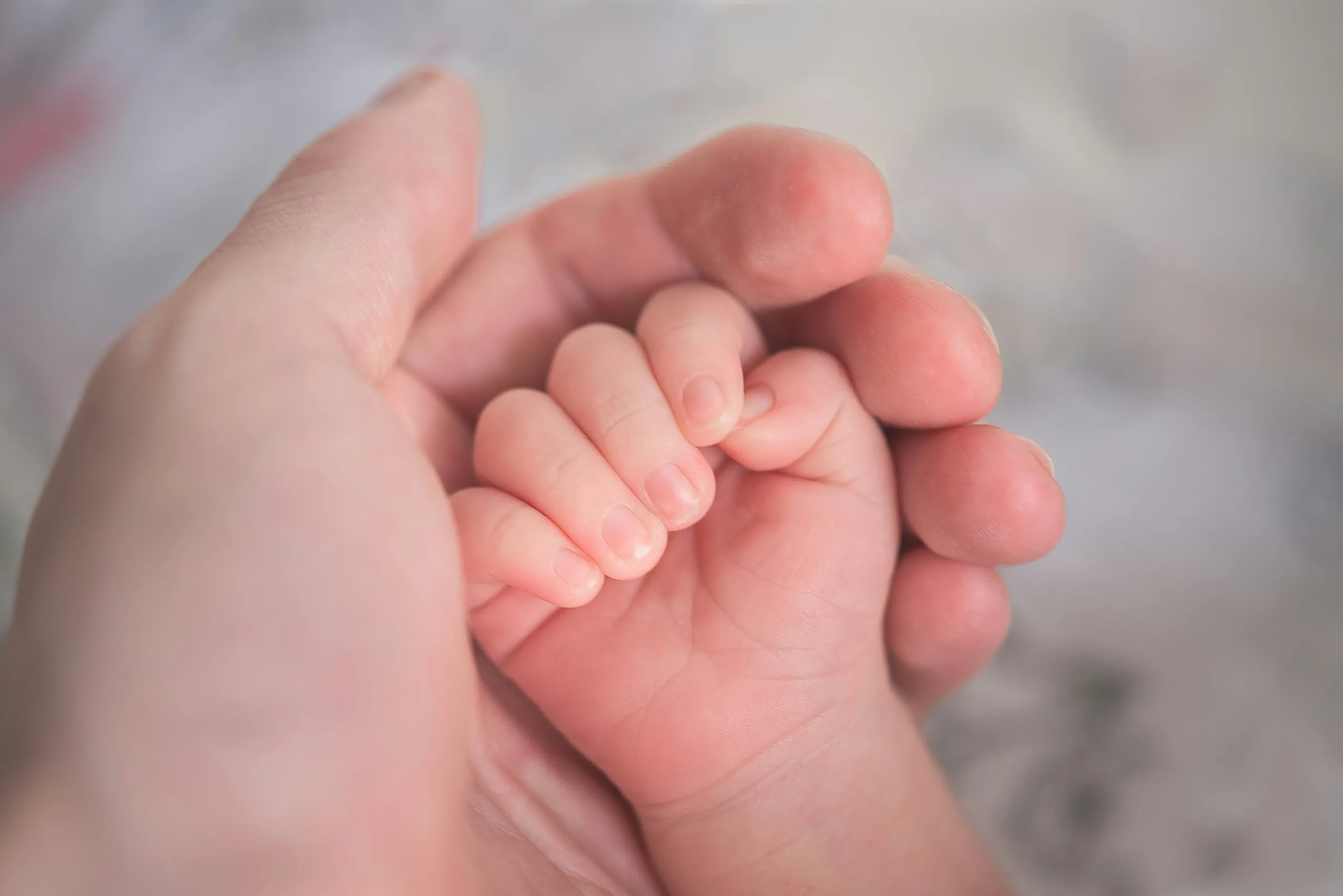 Close up of a baby’s hand being cupped by an adult hand.